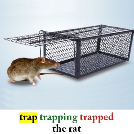 Trap2